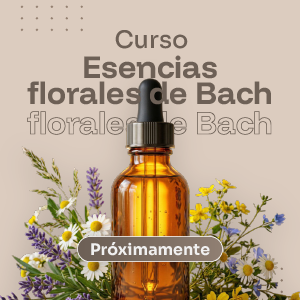 curso_Esencias de bach_producto_cuadrado