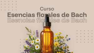 Esencias Florales Bach